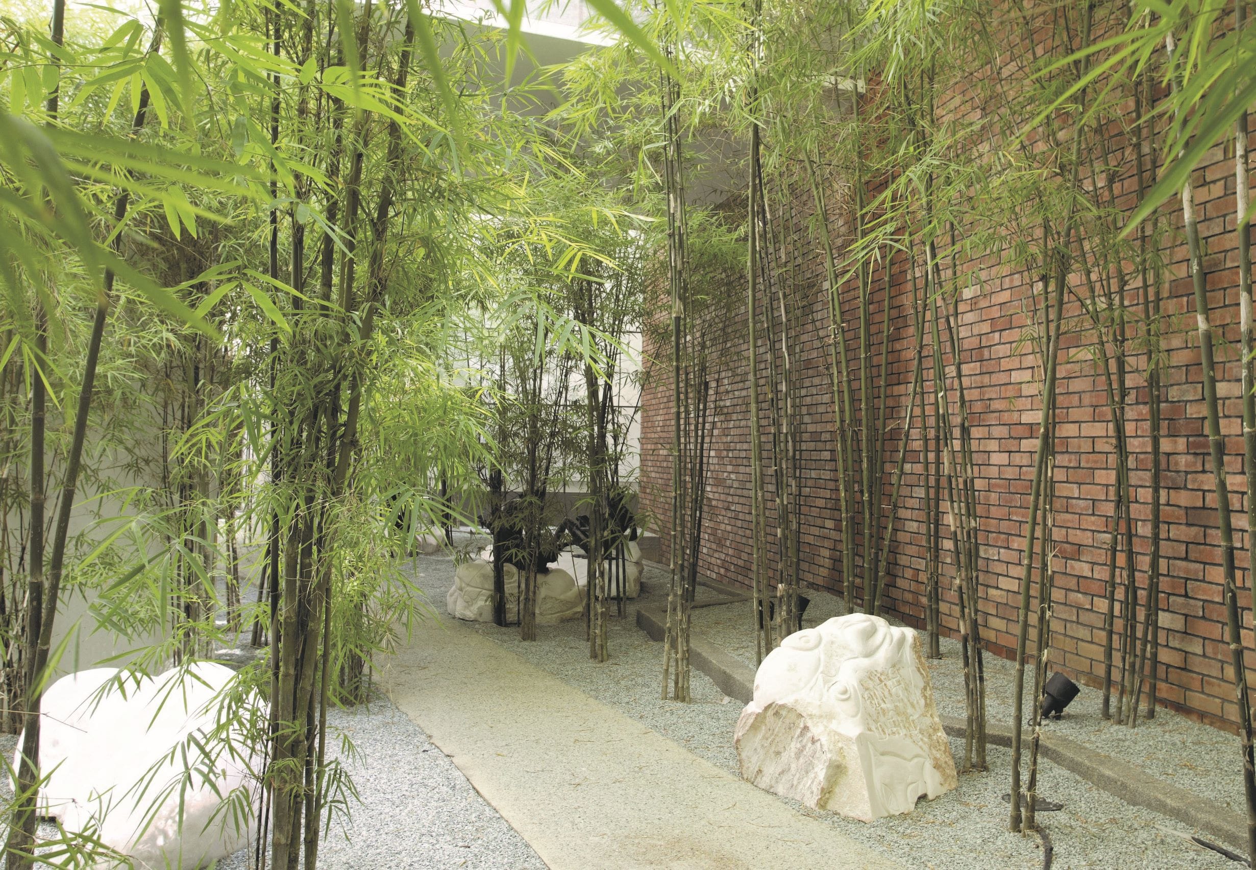 The Bamboo Garden at the Central Public Library.
